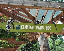 DSC_2058 Central Park Zoo, Manhattan, NYC -- 1 July 2012